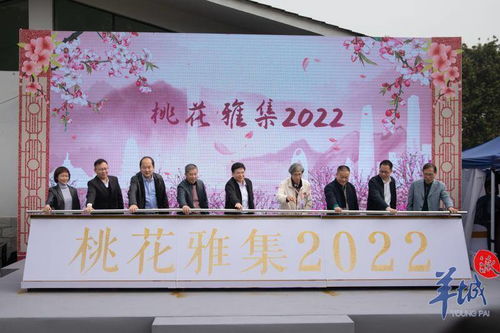 桃花雅集2022 白云區(qū)非遺沉浸式體驗開啟文化交融新篇章